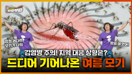  ※벌레주의※ 감염병 옮기는 여름 모기 증가, 지역 대응 상황은? <2026. 7. 24. 방송>