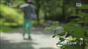 숲속 맑은 공기로 자연치유를