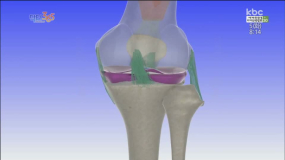 항상 조심해야 할 무릎관절