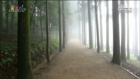 여행남녀-보성 감성여행