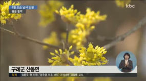 생활뉴스 전체보기