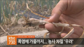 모닝730 전체보기