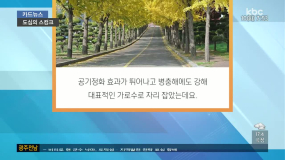 <10/10(화) 모닝730 카드뉴스> 도심의 스컹크