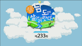 233회