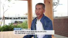 광양시 진상면 애호박 진실공방 2